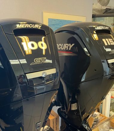 Mercury 100 HP long-tailed F100 EFI ELPT CT 1
